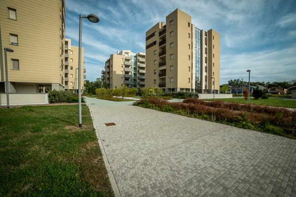 trium23