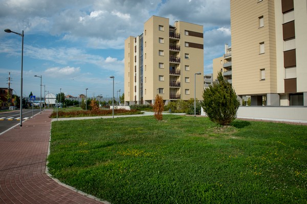trium25